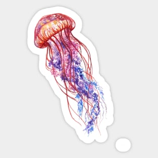 Jellyfish Watrercolor Sticker